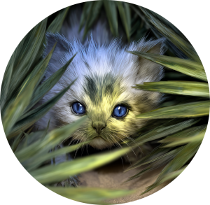 Ĉasid, the Little Hunter